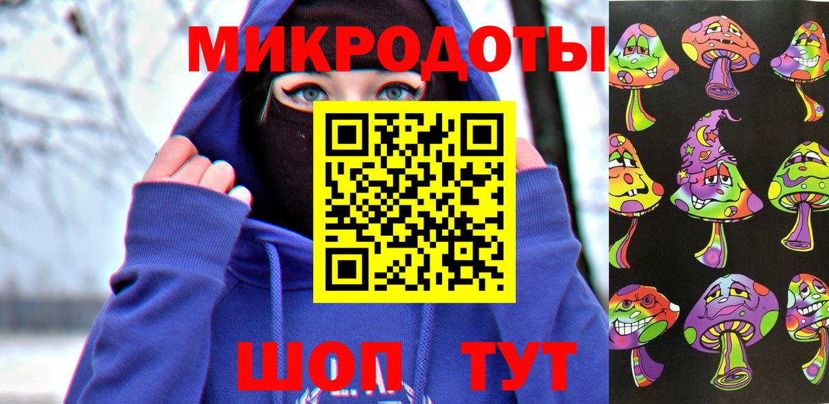 Галлюциногенные грибы Psilocybe Владимир