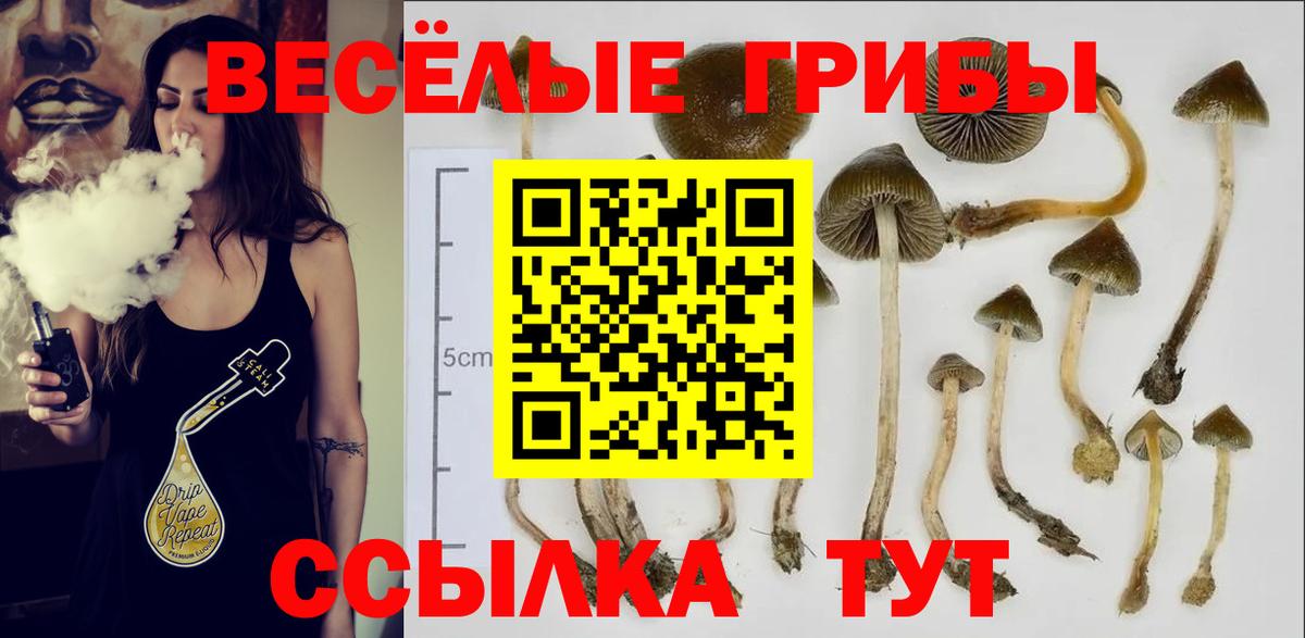 Галлюциногенные грибы мухоморы  Вход с VPN  Владимир 