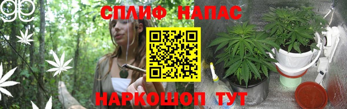 Бошки марихуана OG Kush  Канабис Amnesia  Вход с VPN  Владимир 